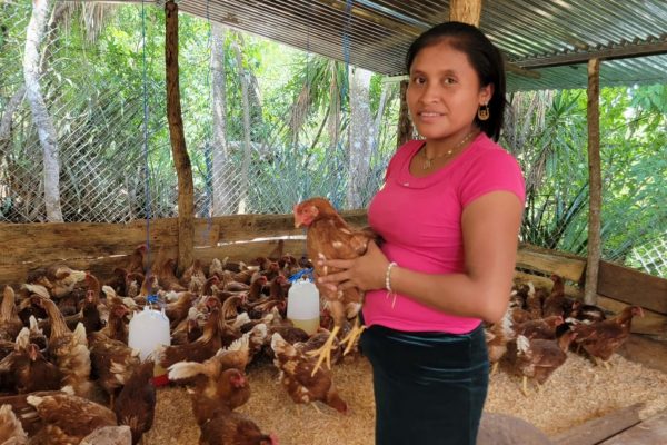 Gallinero comunidad economia comunitaria