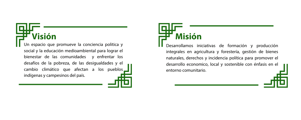 Vision Mision PECESITA