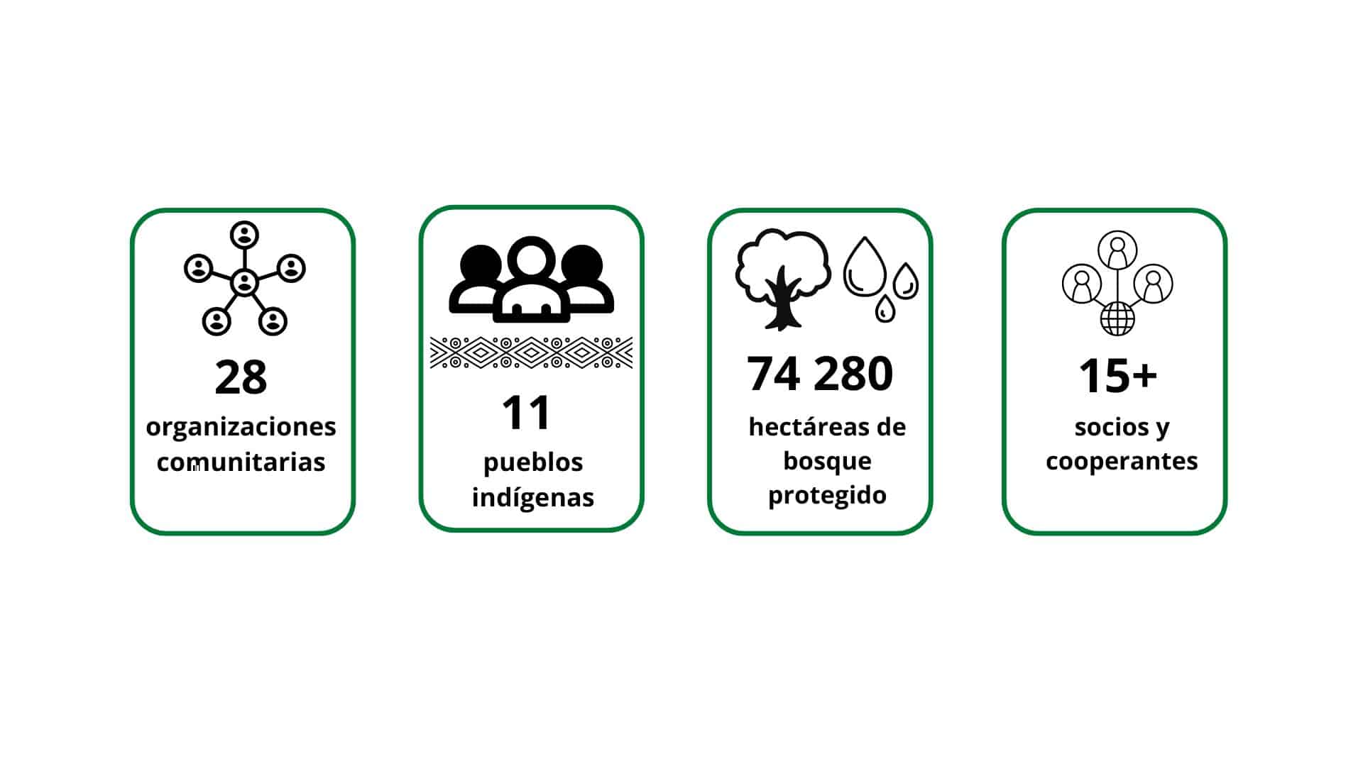 infografia cifras utz che