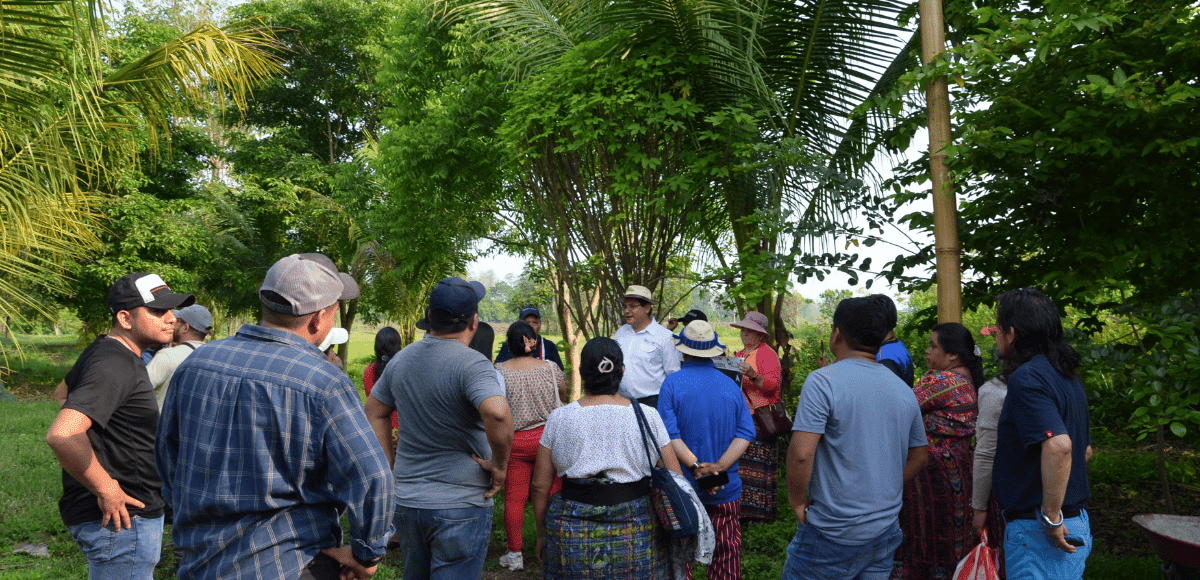 visita comunitaria PECESITA