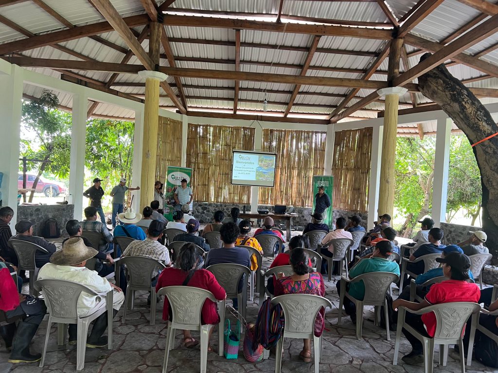 WhatsApp Image 2025-06-20 at 15.18.32